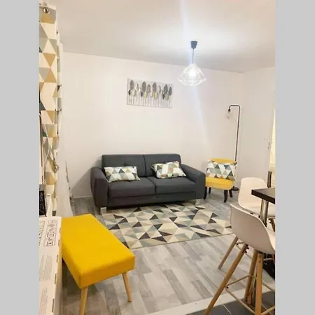Appart 6 A 8 Personnes Proche Centre Parking Gratuit * Troyes